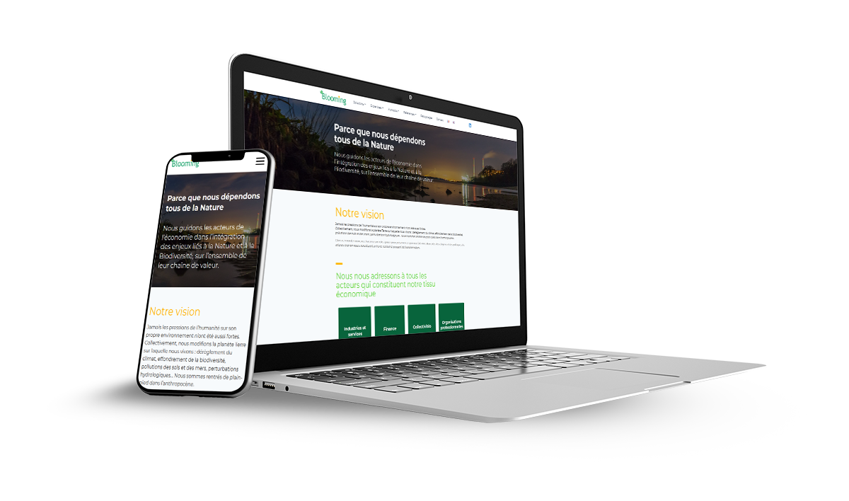 Blooming Strategy - aperçu du site multilingue